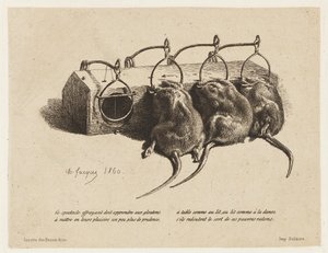 Musefellen av Charles Emile Jacque