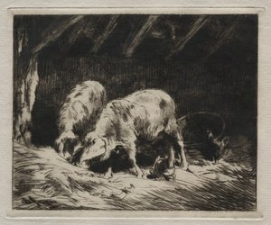 To Porcs. av Charles Emile Jacque