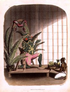 Hanuman, plate 31 fra 