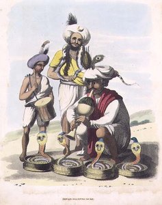 Snake Charmers nær landsbyen Manupar, plate 24 fra 