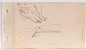 Studie av en Yankton-indianer og en hest (blad 18 recto)