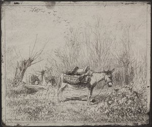 Et esel i marken av Charles Francois Daubigny