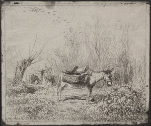A Donkey in the Field, originalt inntrykk 1862, trykt i 1921. av Charles Francois Daubigny