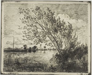 Klump av alertrær av Charles Francois Daubigny