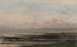 Havet ved lavvann