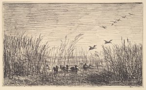 Ducks in the Marshes, [1862], gjengitt 1921. av Charles Francois Daubigny