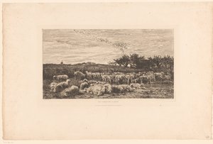 Landskap med saueflokk Parc à Moutons, le matin (tittel på objekt) av Charles Francois Daubigny