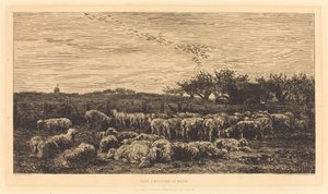 Stor sauefjøs av Charles Francois Daubigny