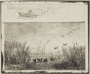 Myr med ender av Charles Francois Daubigny