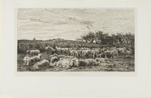 Eng med sauer av Charles Francois Daubigny