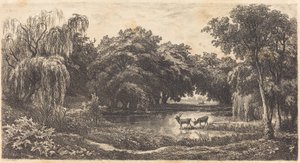 Basseng med hjort av Charles Francois Daubigny