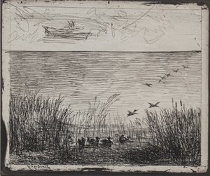Sump med ender av Charles Francois Daubigny