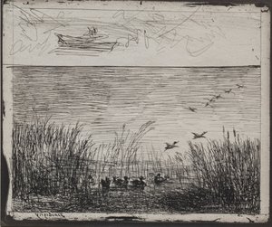 Sump med ender, originalt inntrykk 1862, trykt i 1921. av Charles Francois Daubigny