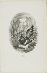  av Charles Francois Daubigny