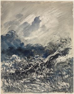 Eiketreet og sivet, ca. 1873 (blå og svart vask) av Charles Francois Daubigny