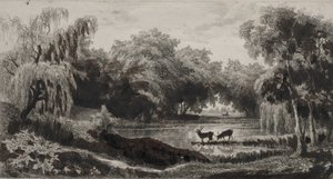The Pool with Stags av Charles Francois Daubigny