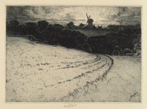 Morning, Canonicut Island, 1908.