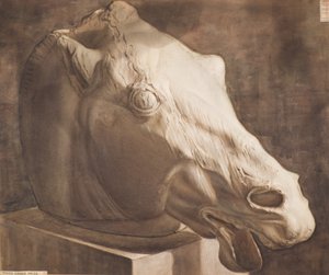 Studie - Hestehode fra Parthenon