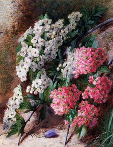 Blomster. Maleri av Charles Henry Slater (1820–1890). Privat samling. av Charles H. Slater