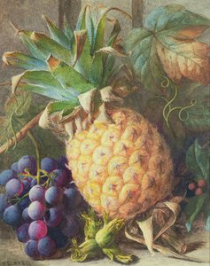 Stilleben av en ananas og druer