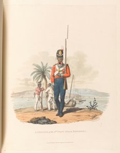 En menig fra det femte vestindiske regiment av Charles Hamilton (after) Smith