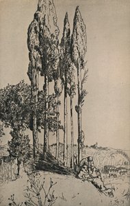 Sypresser nær Siena, 1903