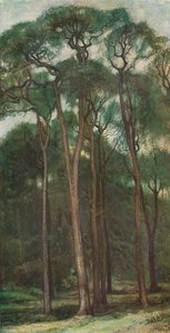 Study of Trees, c1900 1903-1904