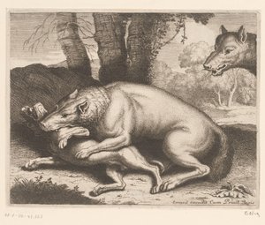 Hund angrepet av en ulv Dyreserie (serietittel) av Charles II Errard (attributed to)