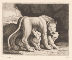 ammende løvinne Dyreserie (serietittel) av Charles II Errard (attributed to)