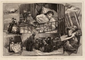 Hjelp hjelperne!, sykehus søndag 13. juni 1880