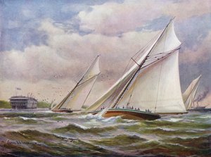 Hvite vinger av Charles John de Lacy