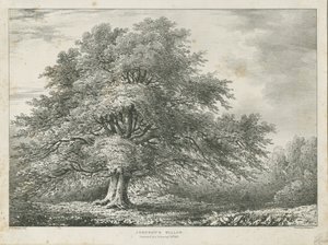 Lichfield - ["Dr. Johnson"s"] Willow Tree: litografi, nd [1789-1850]