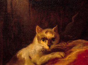 Mademoiselle de Charolais Detalj som representerer katten. Maleri av Charles Joseph Natoire (Charles-Joseph Natoire av Charles Joseph Natoire