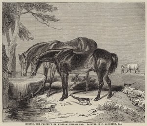 Hester, eiendommen til William Wigram, Esquire