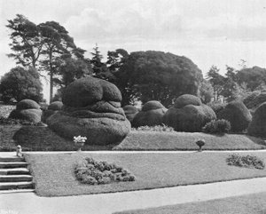 Gradering av barlind av Charles Latham