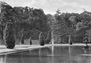 The Shadow of a Barlind (s/hvitt bilde)