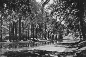 T-dammen av Charles Latham