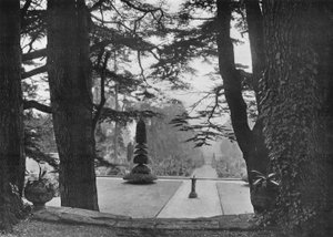 Under Cedars av Charles Latham