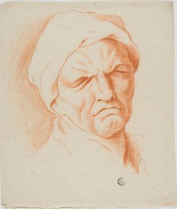 Leder av en gammel mann av Charles Le Brun