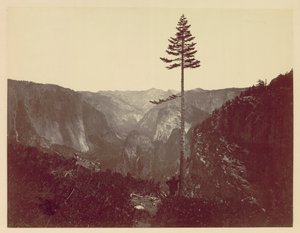 Yosemite Valley fra Mariposa Trail, ca. 1865. av Charles Leander Weed