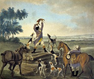 Who...op, Was Never So Carried, fra The Pytchley Hunt, gravert av F. Dukes