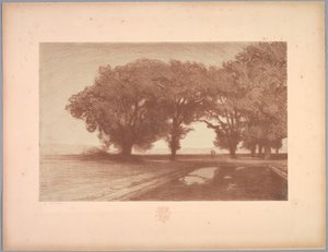 Suite av landskap: Landskap, Plate 8, Note, Stemorblomster