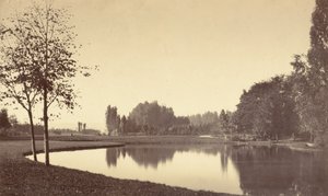 Boulogneskogen av Charles Marville