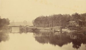 [Bois de Boulogne, Paris] av Charles Marville