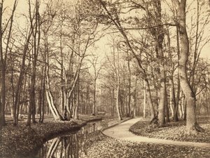 Bois de Boulogne, Paris av Charles Marville
