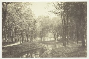 Uten tittel, c. 1850. [Trær nær vann i Bois de Boulogne, en park i Paris]. av Charles Marville