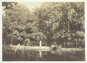 Uten tittel, c. 1850. [Trær nær vann i Bois de Boulogne, en park i Paris]. av Charles Marville