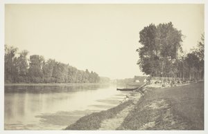 Uten tittel, c. 1850. [Trær nær vann i Bois de Boulogne, en park i Paris]. av Charles Marville