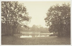 Uten tittel, c. 1850. [Trær nær vann i Bois de Boulogne, en park i Paris]. av Charles Marville