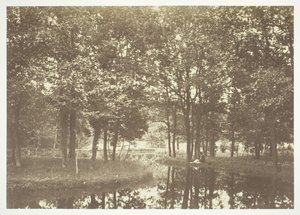 Uten tittel, c. 1850. [Trær nær vann i Bois de Boulogne, en park i Paris].